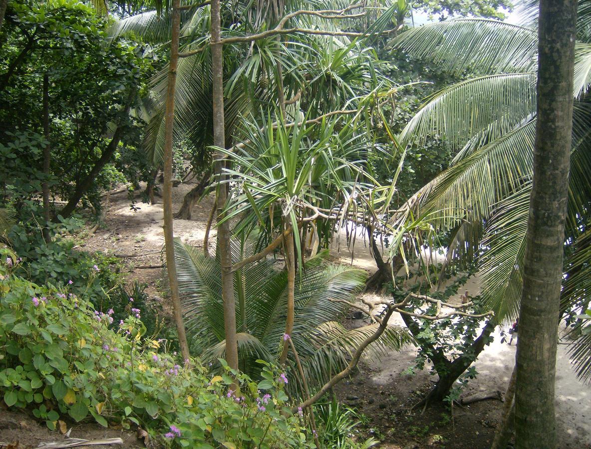 N'Guembu Nature Resort Porto Alegre Kültér fotó